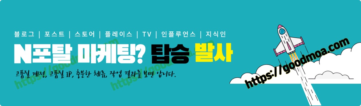 N포탈,스댓공,블로그,포스트,스토어,플레이스,TV,인플루언스